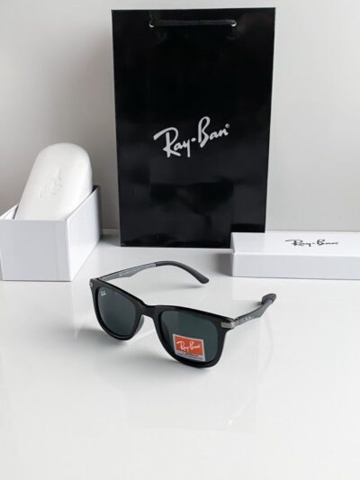 Branded Rb Black 4287 Sunglasses Bt