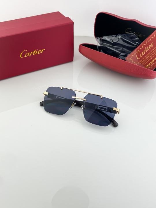 Cartier Gold Black 3120 Sunglasses - Image 8