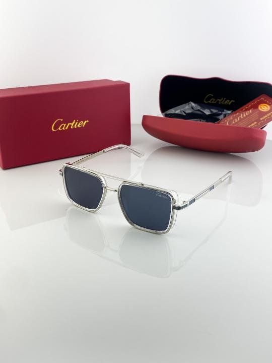 Cartier Silver Black 210 Sunglasses