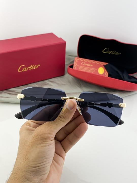 Cartier Gold Black 3072 Sunglasses - Image 4